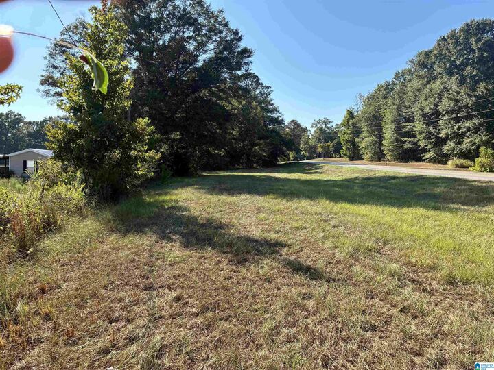Property Photo:  0 County Road 24 1  AL 36091 