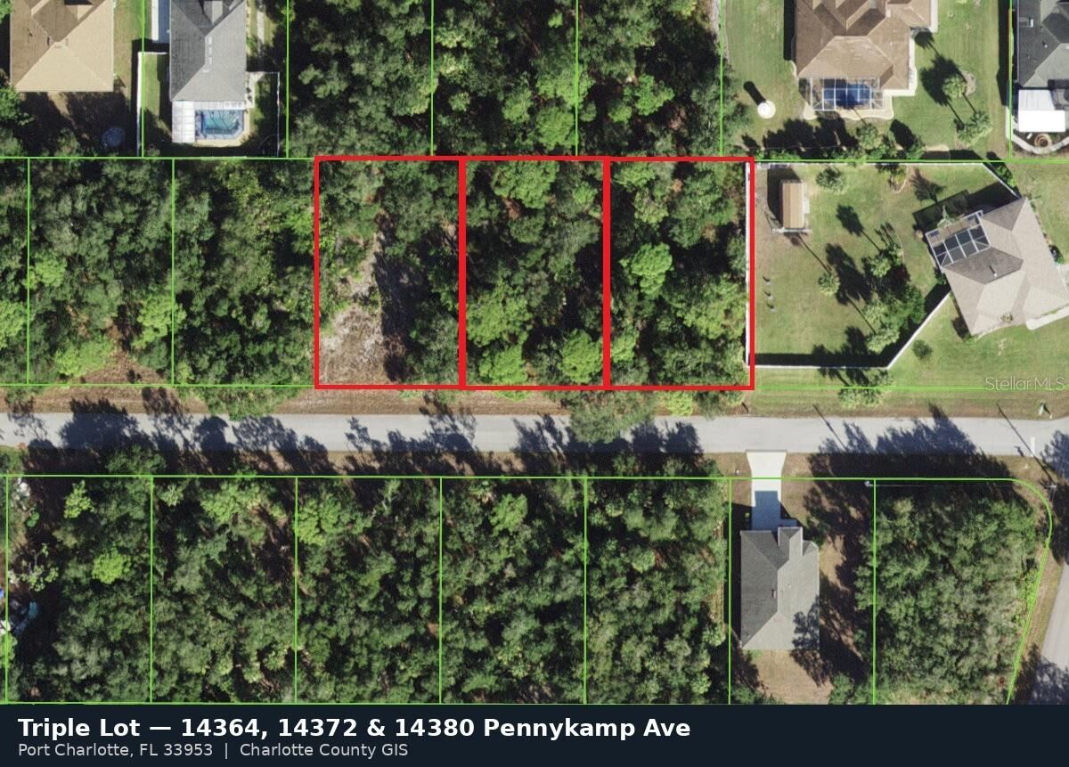 Property Photo:  14372 Pennykamp Avenue  FL 33953 