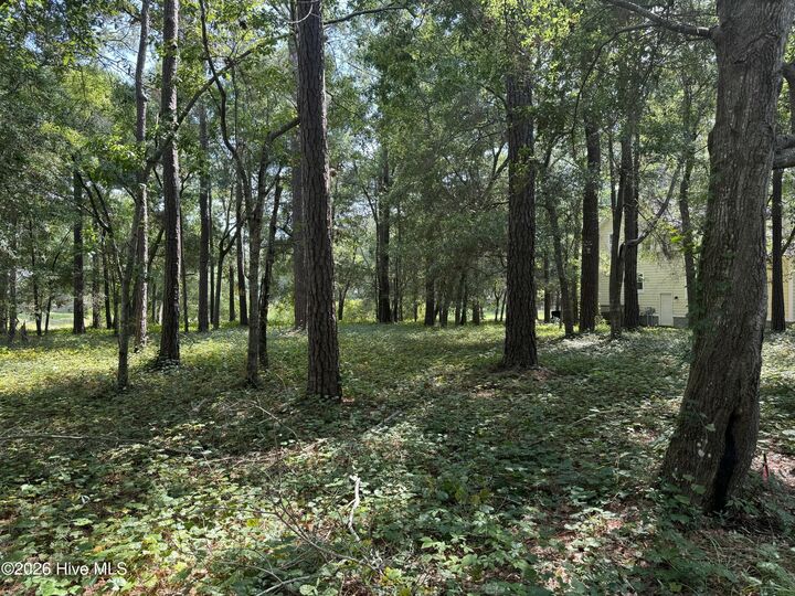 Property Photo:  3055 103 Channel Drive SE  NC 28422 