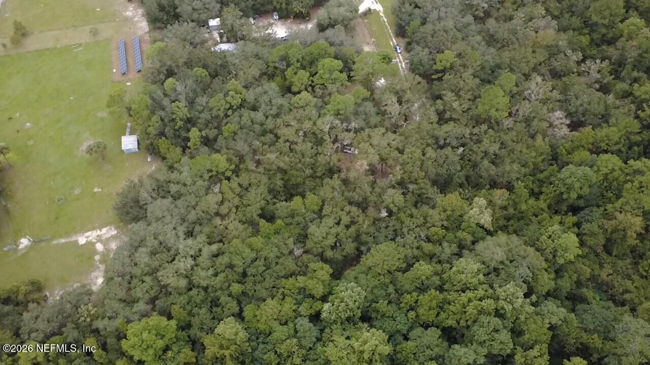 Property Photo:  117 Rhododendron Lane  FL 32148 