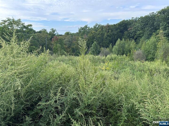 Property Photo:  14 Nicholas Drive  NJ 07405 