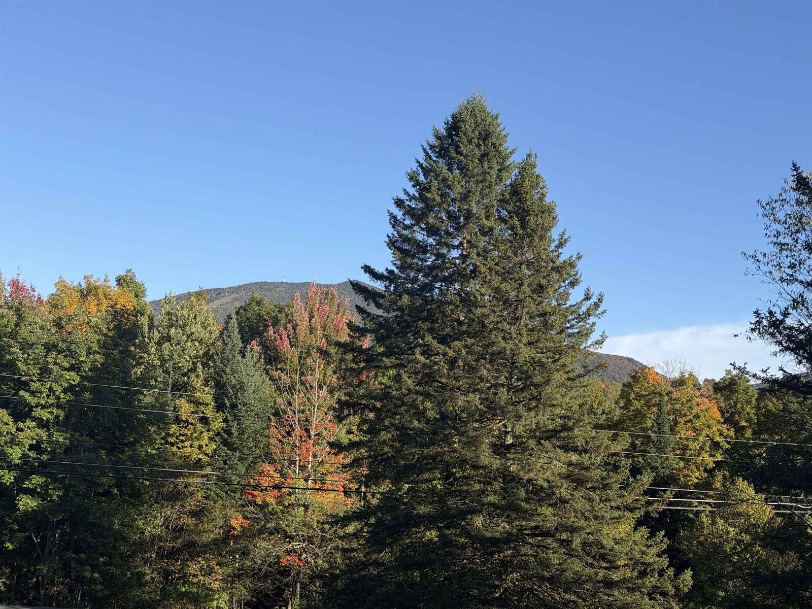 Property Photo: 000 Burke Hollow Road VT 05832-9751