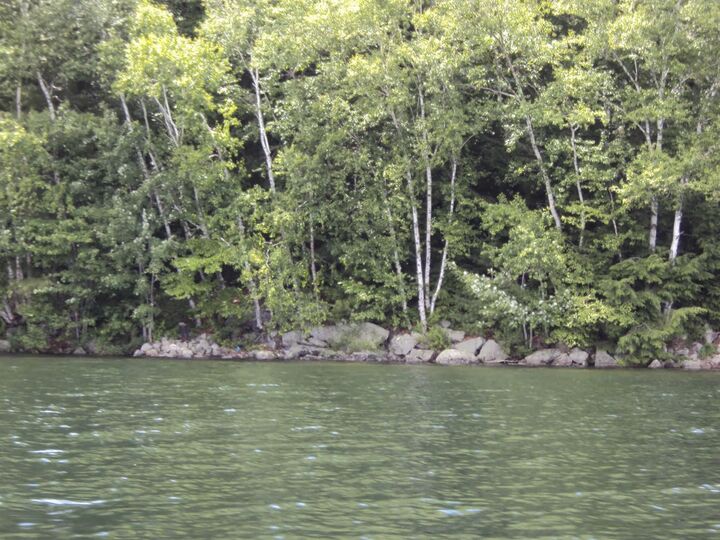 Property Photo:  Lot #20A-333-70 103 Route  NH 03255 