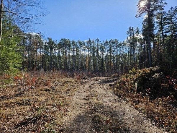 Property Photo:  53 Daniel Shays Highway  MA 01364 