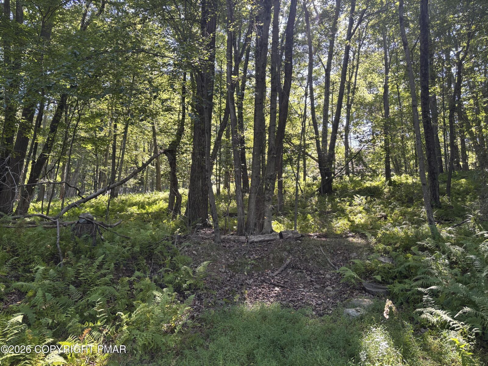 Property Photo: Ski Trail 32 PA 18347