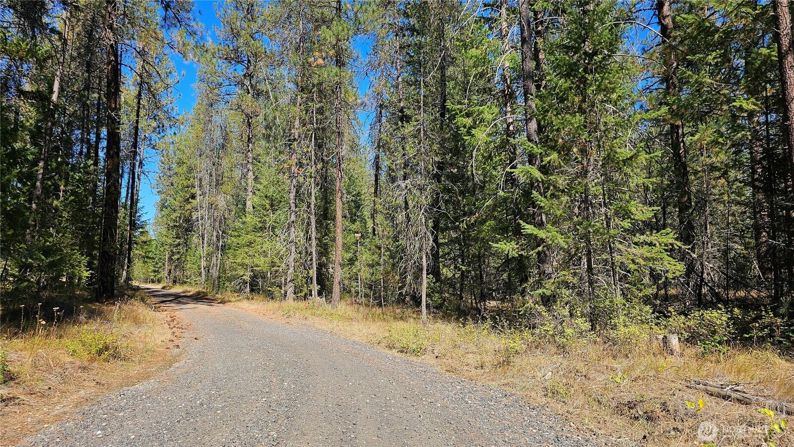 Property Photo:  385 X  Agar Road  WA 99148 