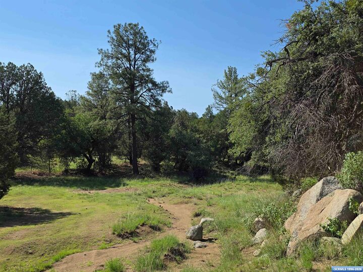 Property Photo:  37-X1 Black Dog Road  NM 88061 