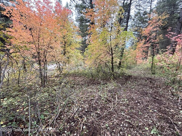 Property Photo:  Lot 60 Cedar Drive  WY 83127 