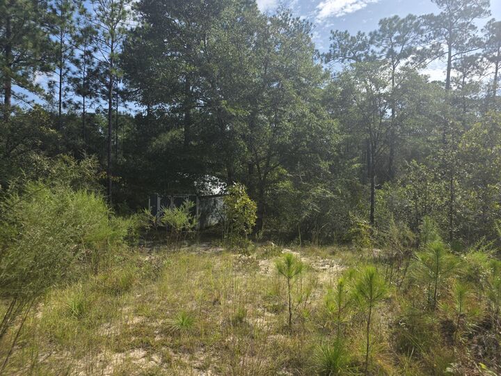 Property Photo:  Lot 48 Clearwater Drive  FL 32433 
