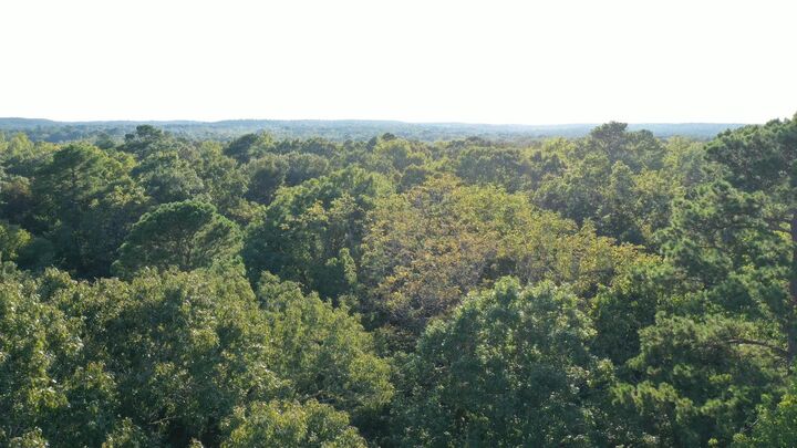 Property Photo:  0000 County Road 1511  TX 75630 