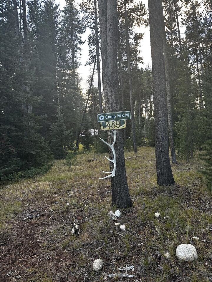 Property Photo:  489 Secesh River Road  ID 83638 