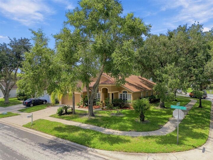 Property Photo: 19014 Silverbrook Drive FL 33647