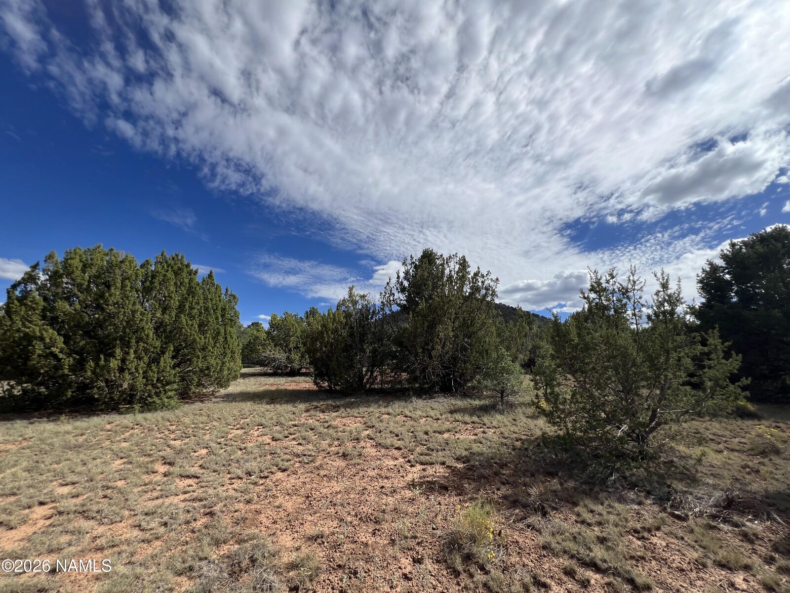 Property Photo:  7197 N Red Lake Road  AZ 86046 