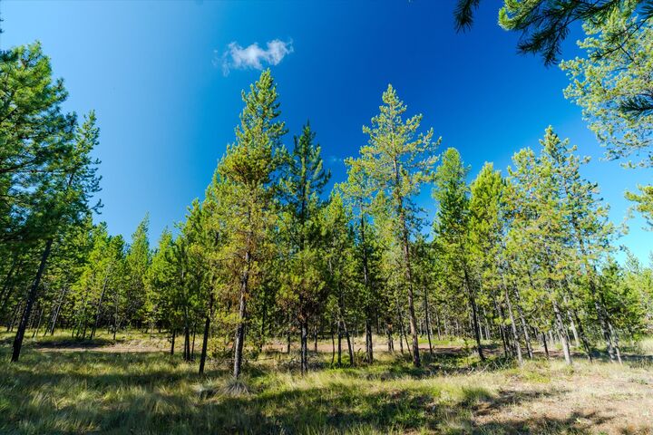 Property Photo:  21 Gunsite Court  MT 59925 