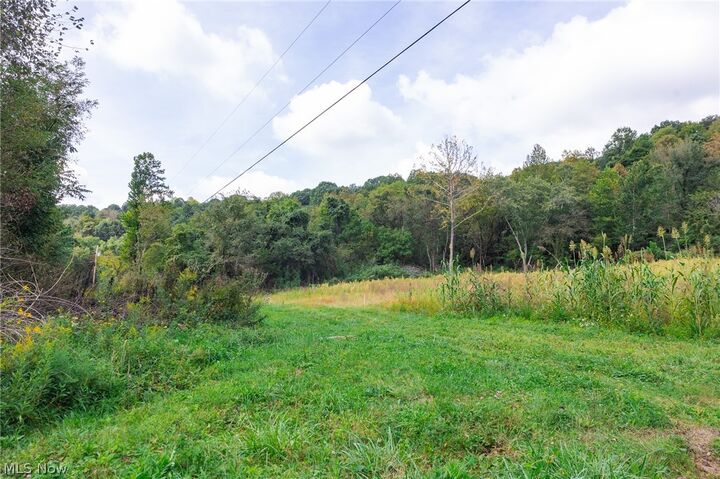 Property Photo:  37500 Goose Run Road  OH 45727 