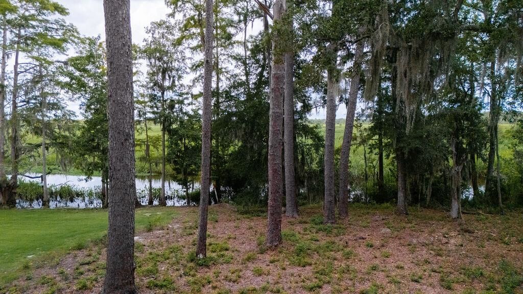 Property Photo: Cabaniss Ln. SC 29585