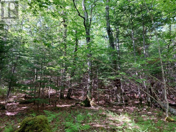 Property Photo:  Lot 8 Evanston Rd  NS B0E 1J0 