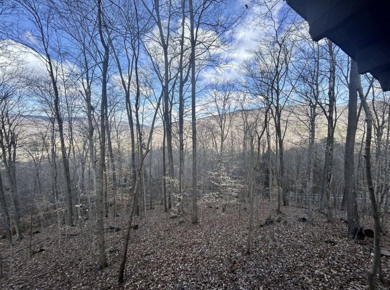 Property Photo: 10127 Rocky River Rd TN 38581