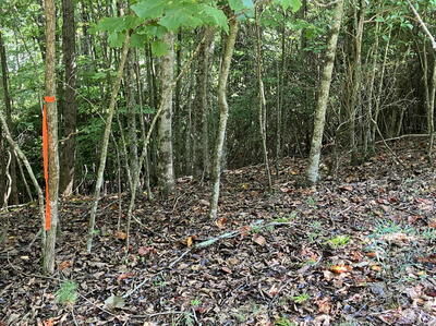 Property Photo:  9 Yellow Maple Lane  NC 28906 