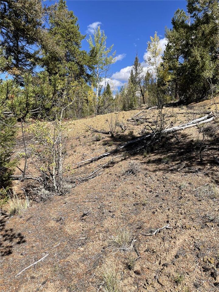 Property Photo:  000 County Road 396  CO 81228 