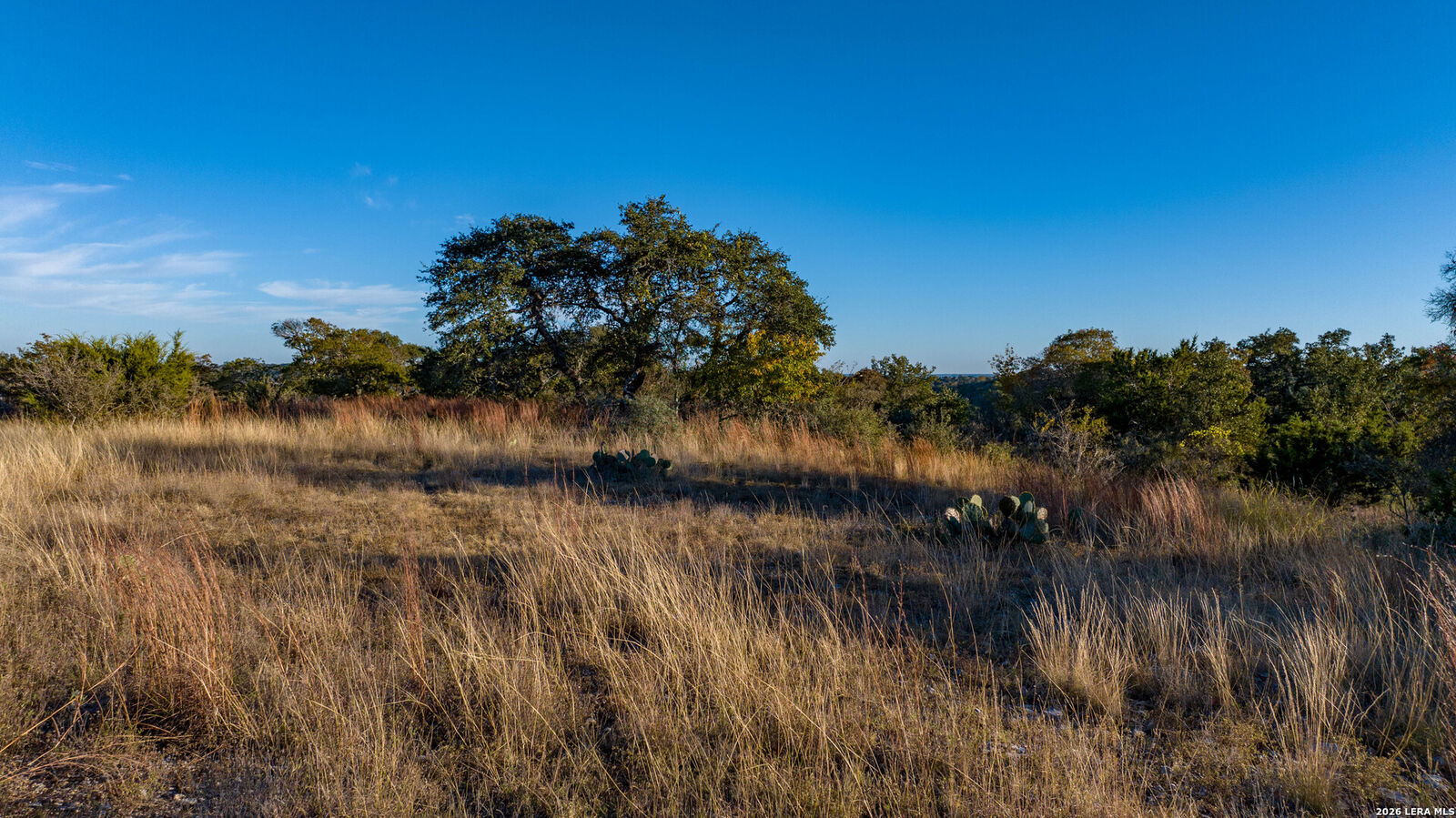 Property Photo: 259 Lookout Pt TX 78013