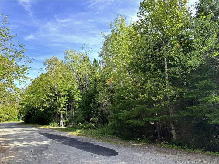 Property Photo:  5 Spurline Avenue  NB E5H 2J7 