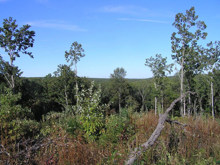 Property Photo:  452 Shadowland Drive  TN 37338 