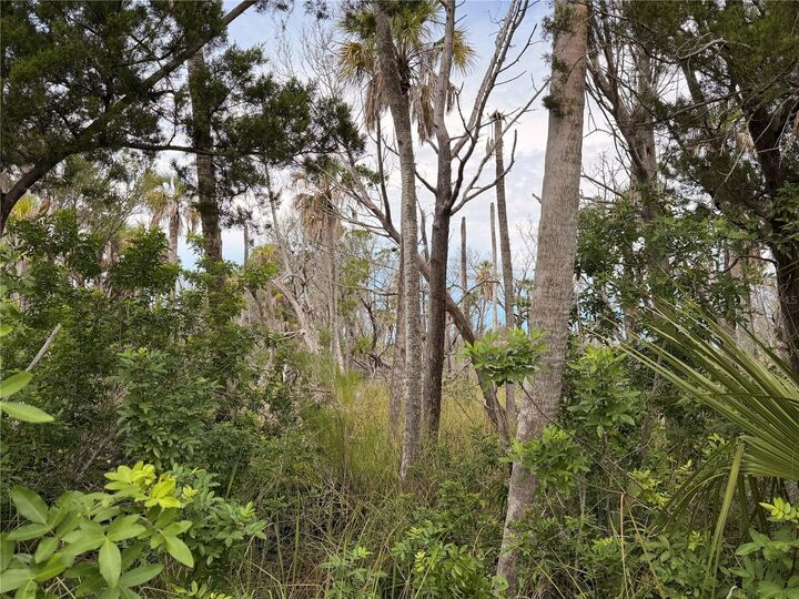 Property Photo: 11975 W Waterwood Drive FL 34429