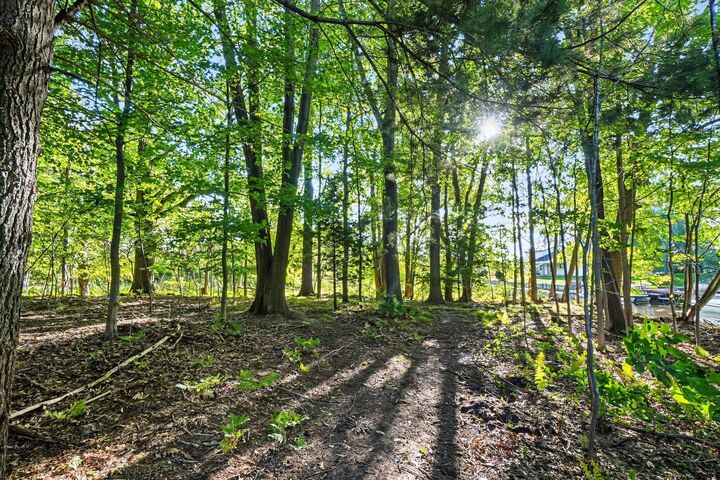 Property Photo: 0 Pless Lane MI 49456