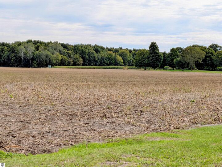Property Photo: 516 N Pingree Road MI 48801