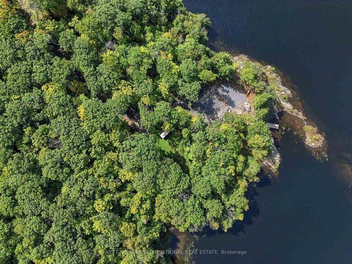 Property Photo:  44 Bell Lake Road  ON P2A 2W9 