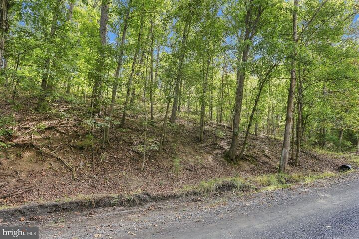 Property Photo:  Lot 147C Tea Berry Road  VA 22644 