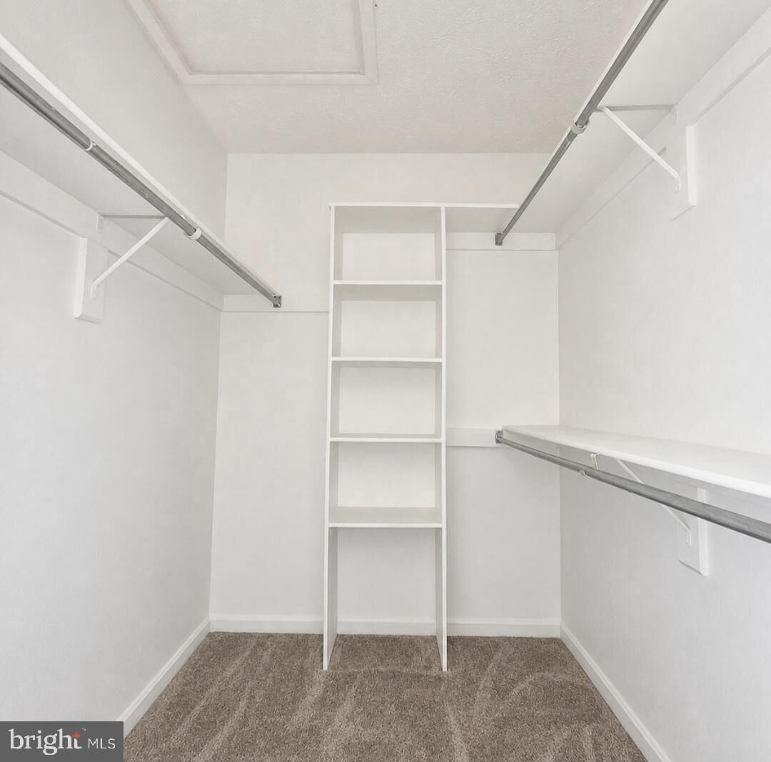 Property Photo:  46349 Columbus Drive  MD 20653 
