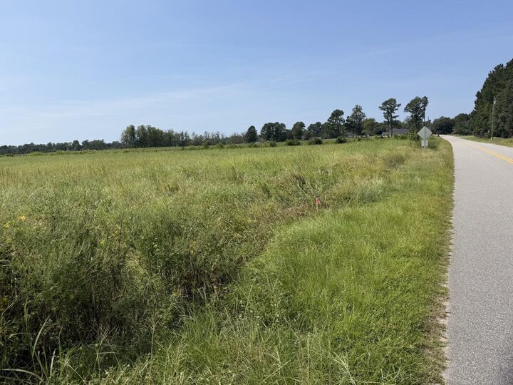 Property Photo:  Tbd B And S Rd.  SC 29569 