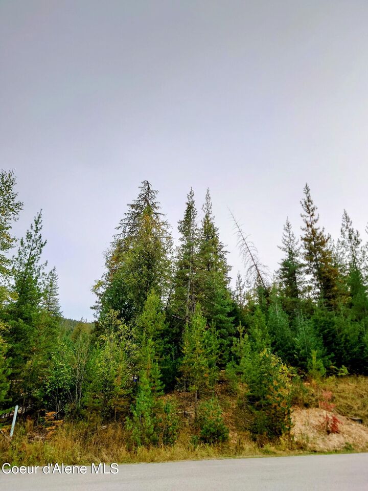 Property Photo:  111 Trail Blazer Ct  ID 83850 