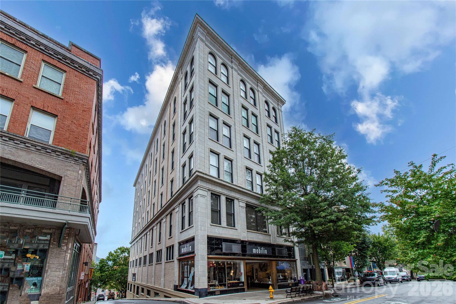 Property Photo: 84 W Walnut Street 501 NC 28801