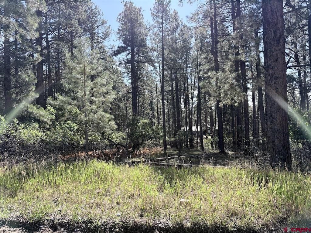 Property Photo: 332 Lake View Drive CO 81122