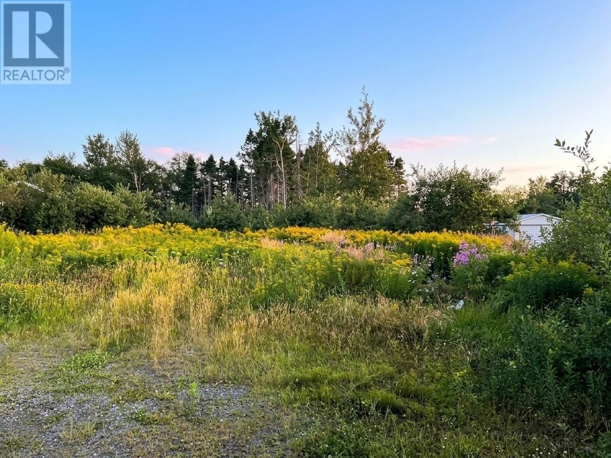Property Photo:  41 McCurdy Drive  NL A1V 1A1 
