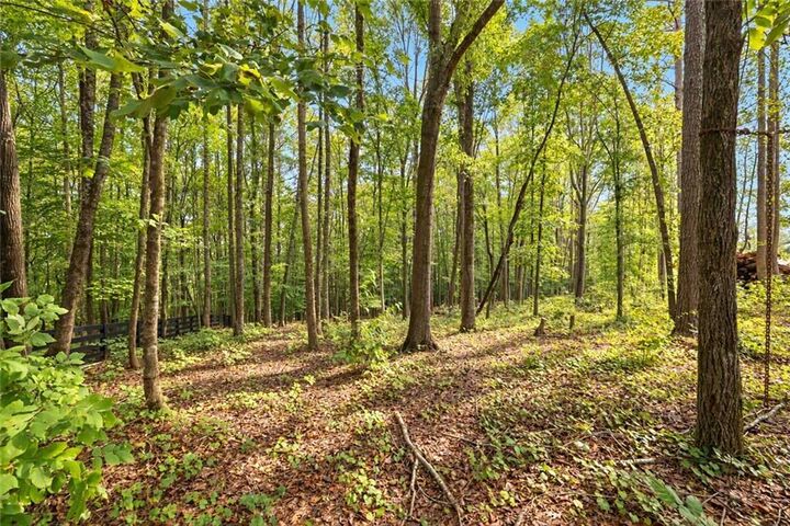Property Photo: 421 River Bluff Lane GA 30107