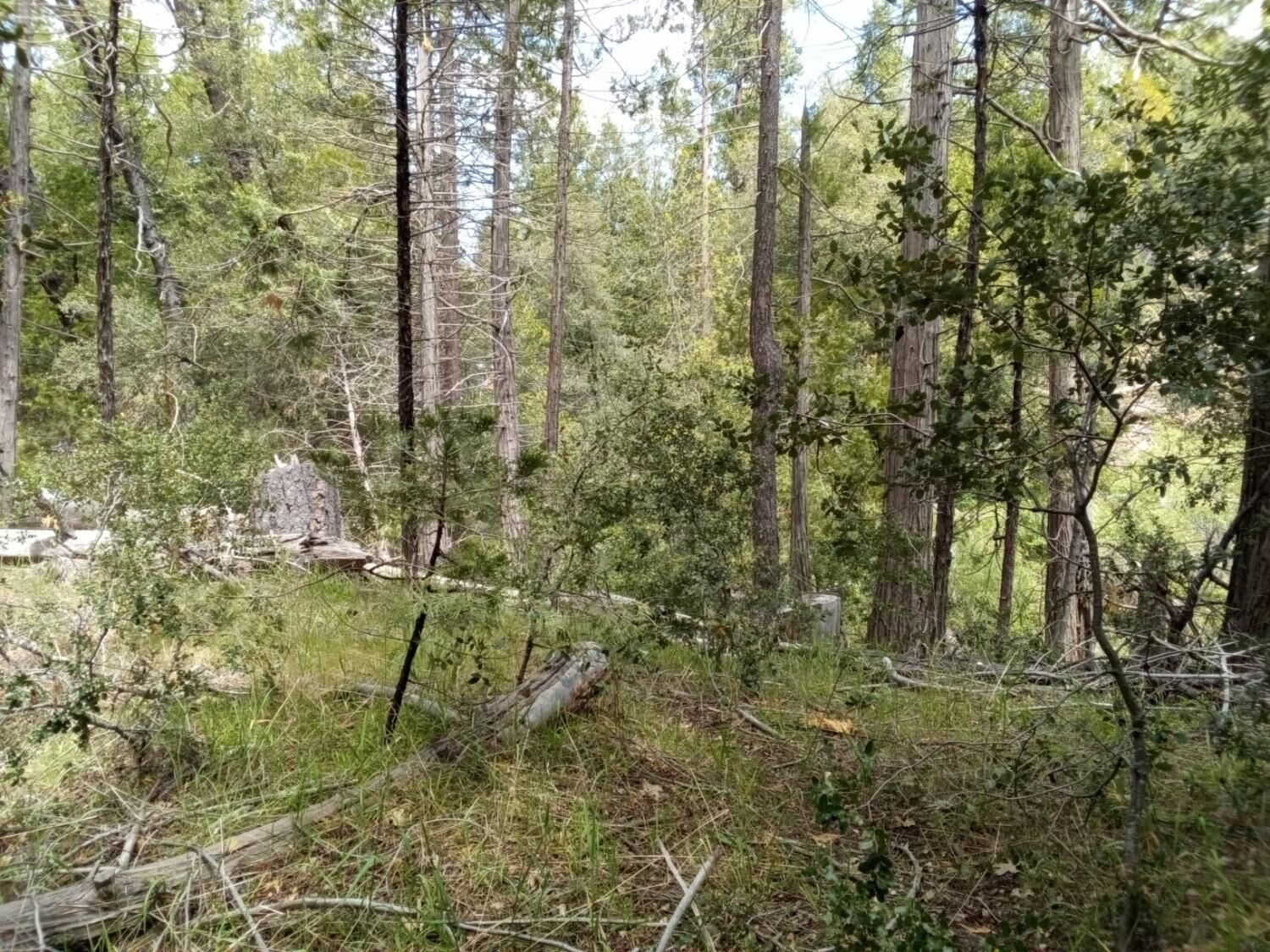 Property Photo: 1 Auberry Rd CA 93602