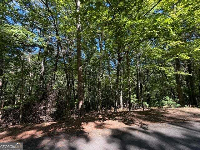 Property Photo:  305 Seneca Drive  GA 30540 
