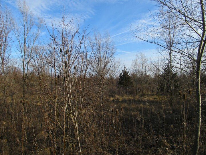 Property Photo:  0-Lot 9 Grant Street  IN 46410 