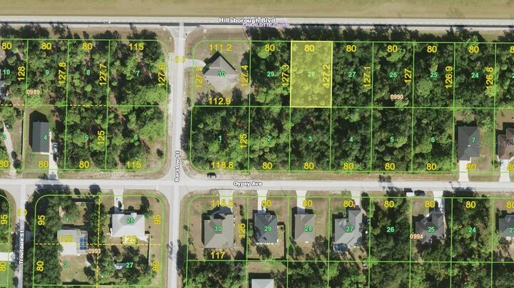 Property Photo:  18351 Hillsborough Boulevard  FL 33954 