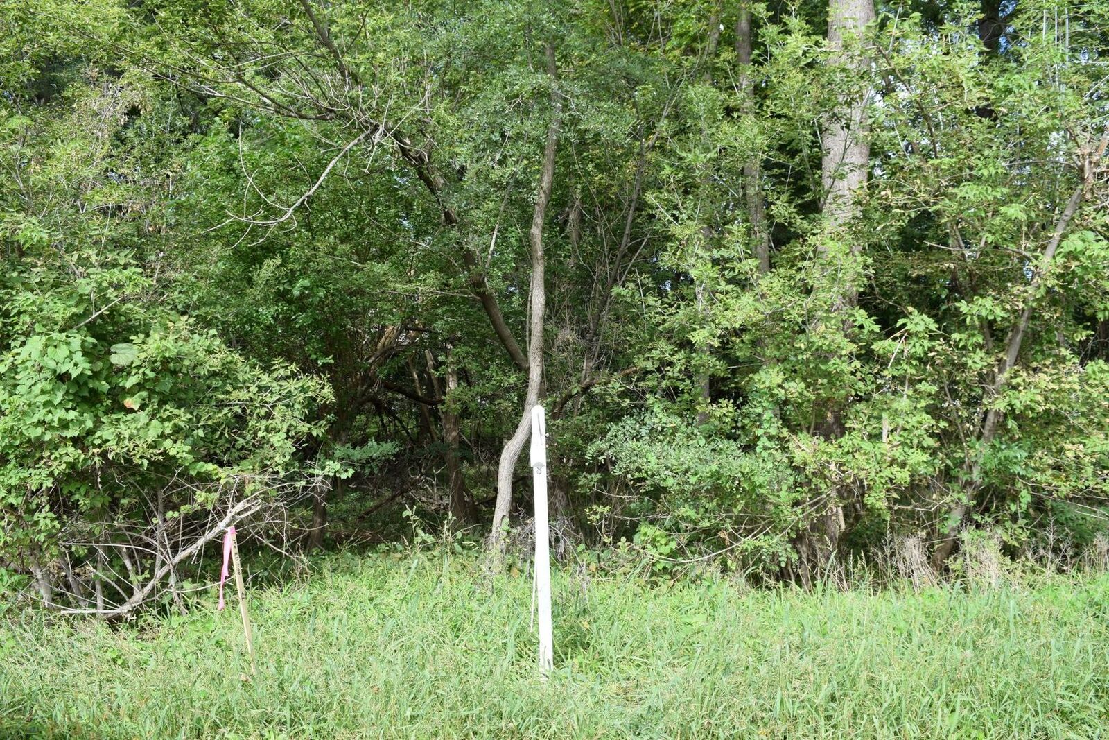 Property Photo:  Lots 68 &Amp 69 Paul Street  IL 60051 