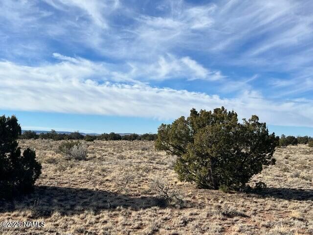 Property Photo:  1282 Watchtower, Lot C - 12 Ac  AZ 86046 