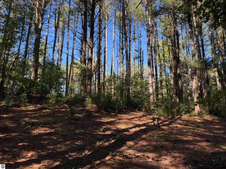 Property Photo: 0 Raymond Road MI 49688