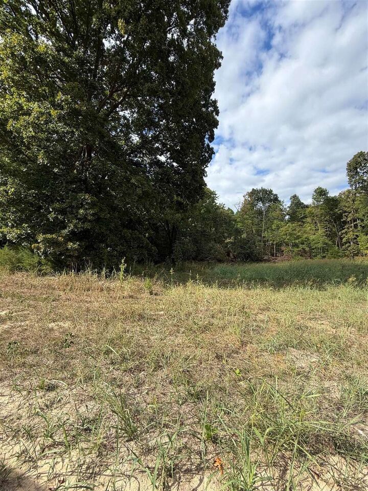Property Photo: 0 Proctor Mill Road KY 42276