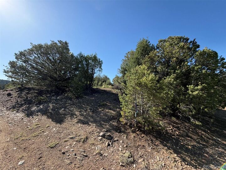 Property Photo:  20 Molly Lane  CO 81223 