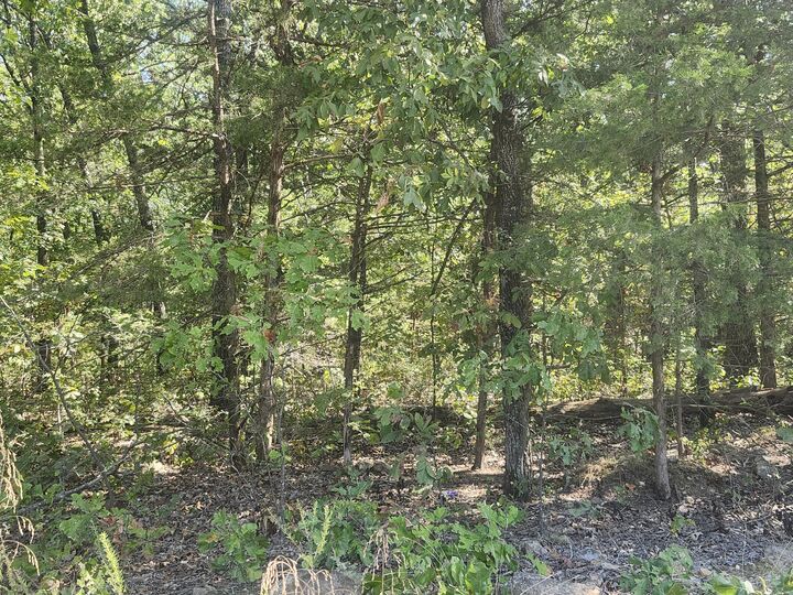 Property Photo:  13239 County Road 290  MO 65650 