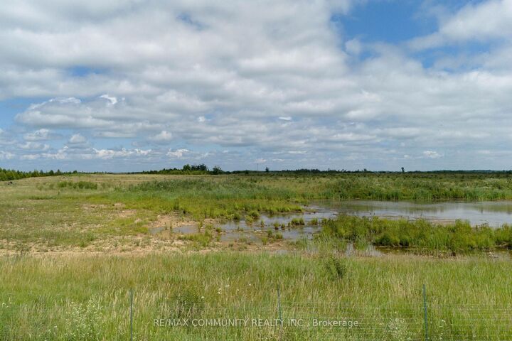 Property Photo:  27979 Simcoe Street  ON L0K 1A0 